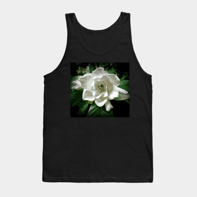 White Gardenia In The Shadows Tank Top by PhotoArts